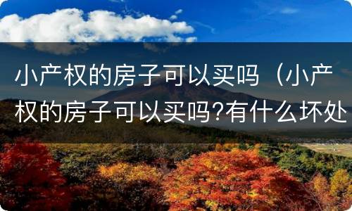 小产权的房子可以买吗（小产权的房子可以买吗?有什么坏处）