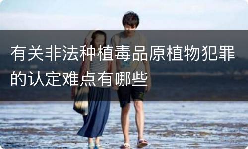 有关非法种植毒品原植物犯罪的认定难点有哪些