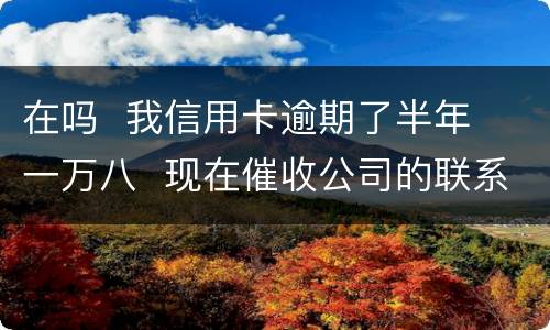 在吗  我信用卡逾期了半年  一万八  现在催收公司的联系到我  五天必须还钱