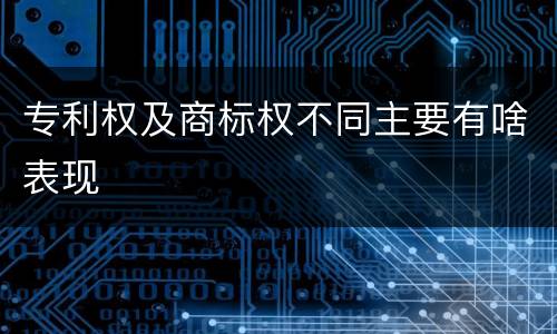 专利权及商标权不同主要有啥表现