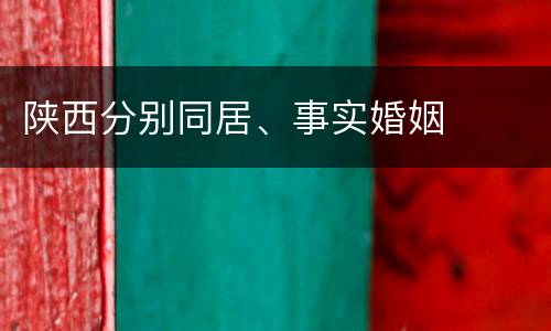 陕西分别同居、事实婚姻