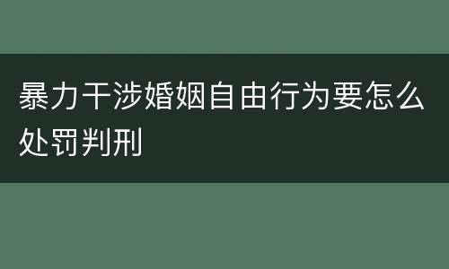 暴力干涉婚姻自由行为要怎么处罚判刑