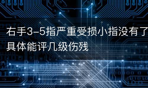 右手3-5指严重受损小指没有了具体能评几级伤残