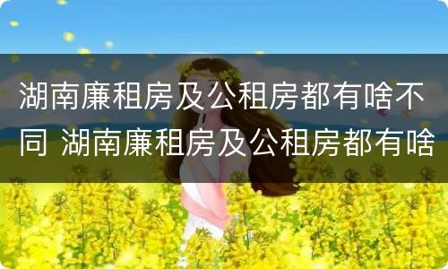 湖南廉租房及公租房都有啥不同 湖南廉租房及公租房都有啥不同吗