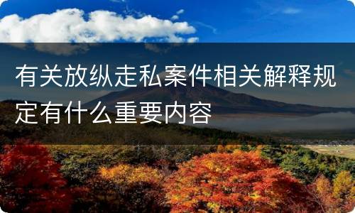 有关放纵走私案件相关解释规定有什么重要内容