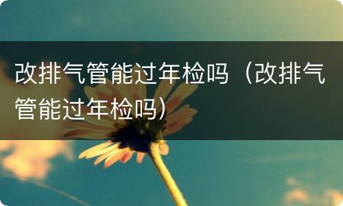 改排气管能过年检吗（改排气管能过年检吗）