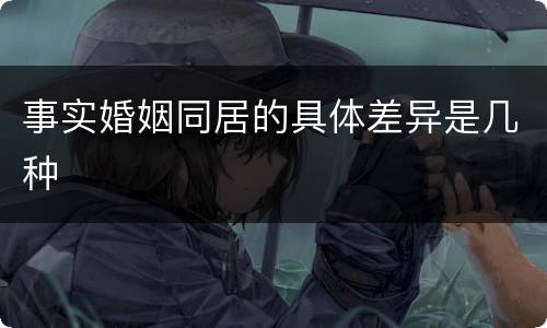 事实婚姻同居的具体差异是几种
