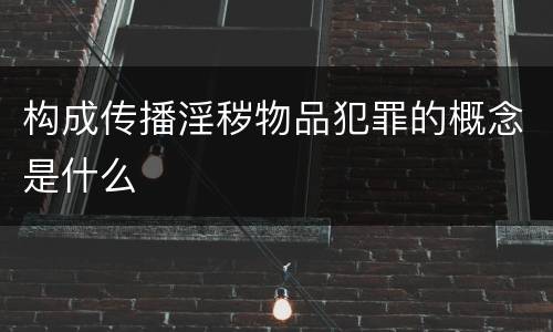 构成传播淫秽物品犯罪的概念是什么
