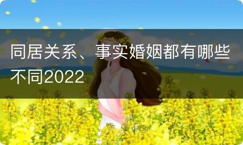 同居关系、事实婚姻都有哪些不同2022