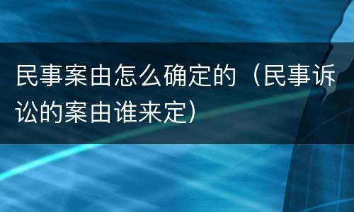 民事案由怎么确定的（民事诉讼的案由谁来定）