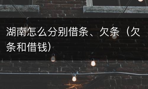 湖南怎么分别借条、欠条（欠条和借钱）