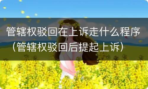 管辖权驳回在上诉走什么程序（管辖权驳回后提起上诉）