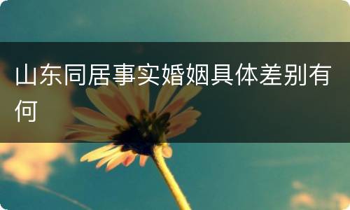 山东同居事实婚姻具体差别有何