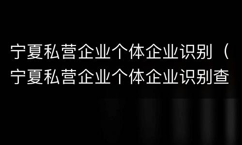 宁夏私营企业个体企业识别（宁夏私营企业个体企业识别查询）