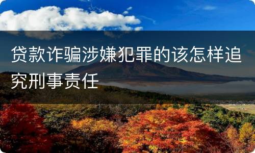 贷款诈骗涉嫌犯罪的该怎样追究刑事责任