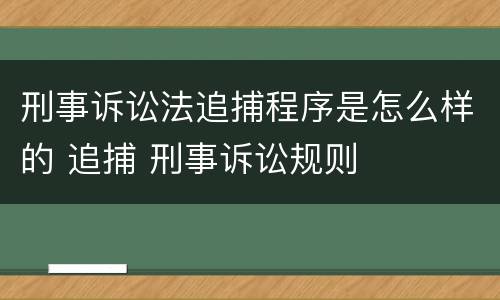 刑事诉讼法追捕程序是怎么样的 追捕 刑事诉讼规则
