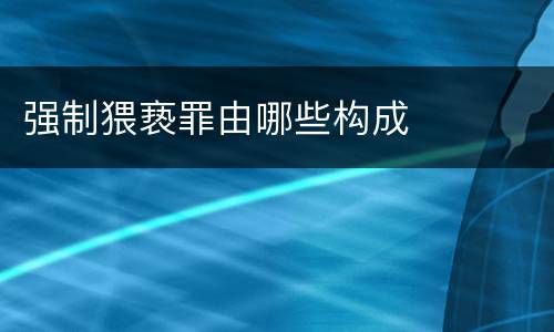 强制猥亵罪由哪些构成