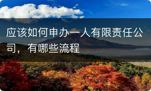 应该如何申办一人有限责任公司，有哪些流程