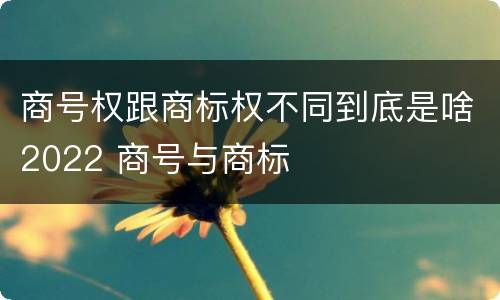 商号权跟商标权不同到底是啥2022 商号与商标
