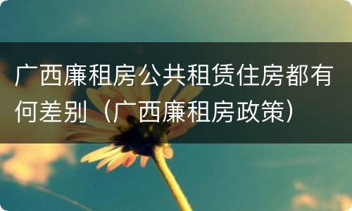 广西廉租房公共租赁住房都有何差别（广西廉租房政策）