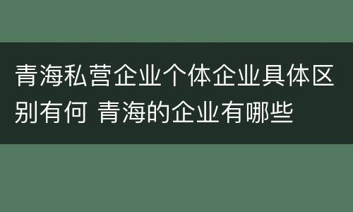 青海私营企业个体企业具体区别有何 青海的企业有哪些
