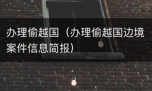 办理偷越国（办理偷越国边境案件信息简报）