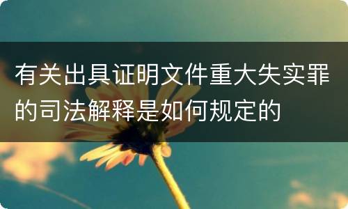 有关出具证明文件重大失实罪的司法解释是如何规定的