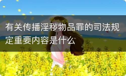有关传播淫秽物品罪的司法规定重要内容是什么