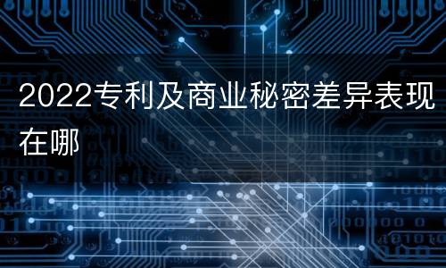 2022专利及商业秘密差异表现在哪