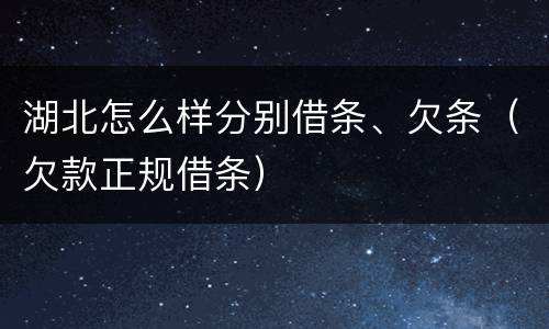 湖北怎么样分别借条、欠条（欠款正规借条）