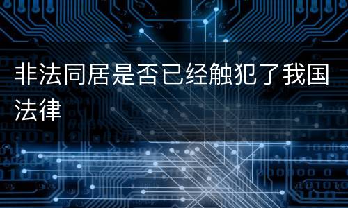 非法同居是否已经触犯了我国法律