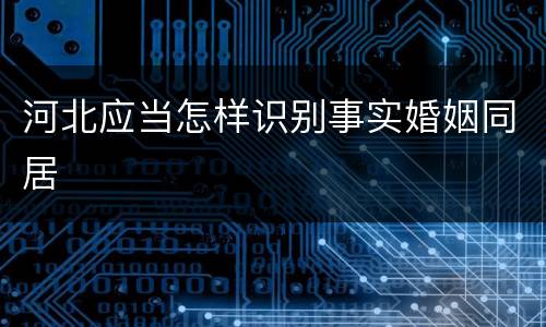河北应当怎样识别事实婚姻同居