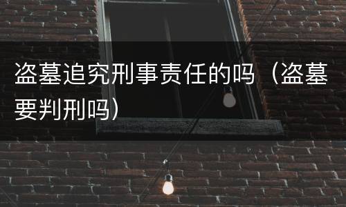盗墓追究刑事责任的吗（盗墓要判刑吗）