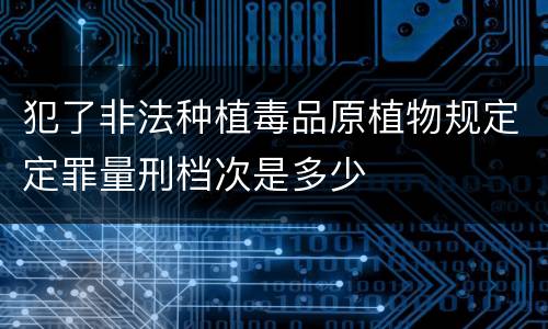 犯了非法种植毒品原植物规定定罪量刑档次是多少