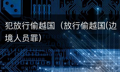 犯放行偷越国（放行偷越国(边境人员罪）