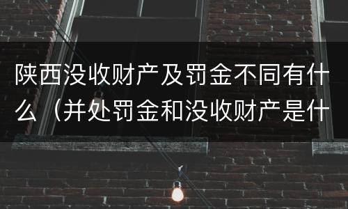 陕西没收财产及罚金不同有什么（并处罚金和没收财产是什么意思）
