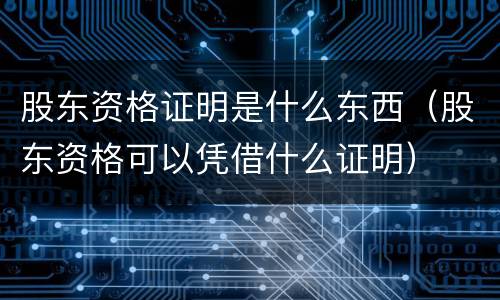 股东资格证明是什么东西（股东资格可以凭借什么证明）