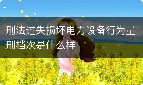 刑法过失损坏电力设备行为量刑档次是什么样