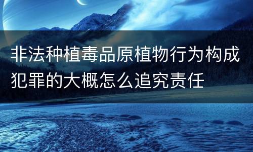 非法种植毒品原植物行为构成犯罪的大概怎么追究责任
