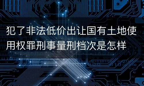 犯了非法低价出让国有土地使用权罪刑事量刑档次是怎样