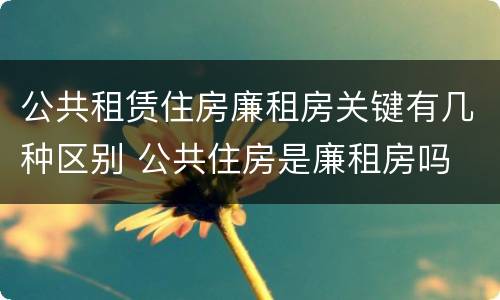 公共租赁住房廉租房关键有几种区别 公共住房是廉租房吗