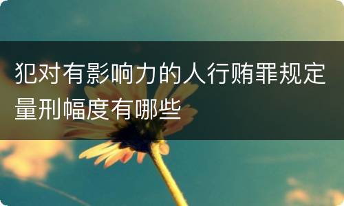 犯对有影响力的人行贿罪规定量刑幅度有哪些