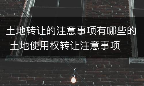 土地转让的注意事项有哪些的 土地使用权转让注意事项