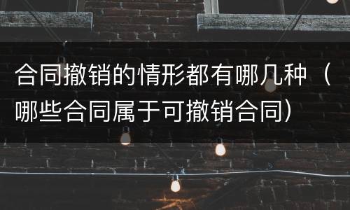 合同撤销的情形都有哪几种（哪些合同属于可撤销合同）
