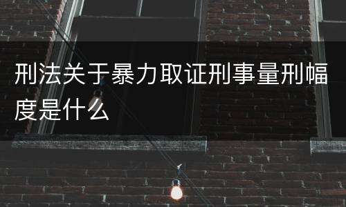 刑法关于暴力取证刑事量刑幅度是什么