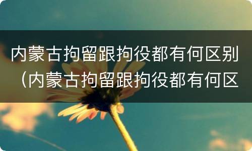 内蒙古拘留跟拘役都有何区别（内蒙古拘留跟拘役都有何区别呢）