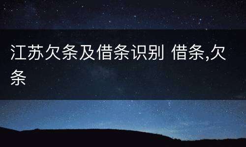 江苏欠条及借条识别 借条,欠条