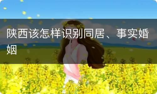 陕西该怎样识别同居、事实婚姻