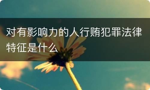 对有影响力的人行贿犯罪法律特征是什么