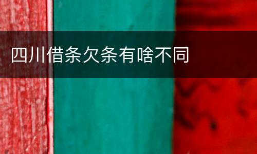 四川借条欠条有啥不同